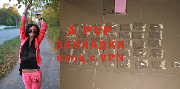 индика Красноперекопск