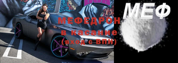 индика Краснослободск