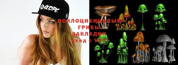 индика Краснослободск