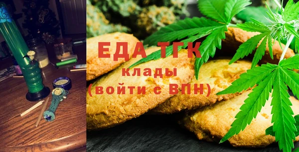 индика Краснослободск
