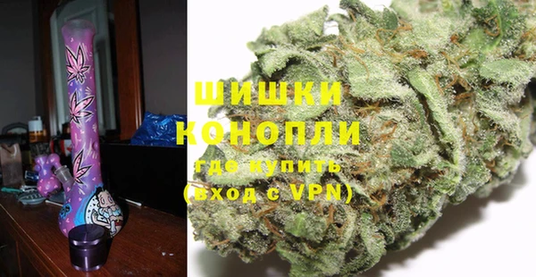 индика Красноперекопск