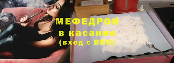 индика Краснослободск