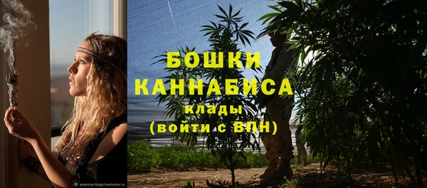 индика Краснослободск