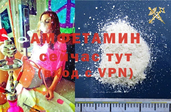 индика Краснослободск