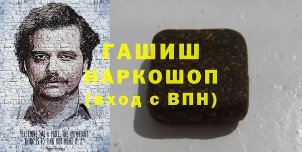 индика Краснослободск