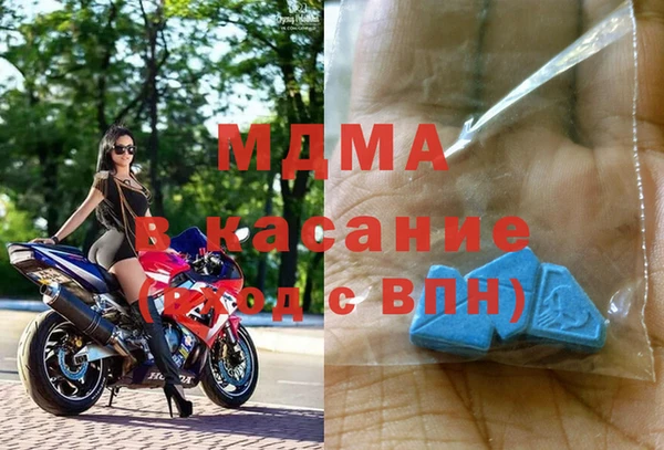 индика Краснослободск