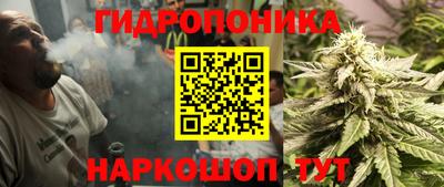 гидра Кандалакша