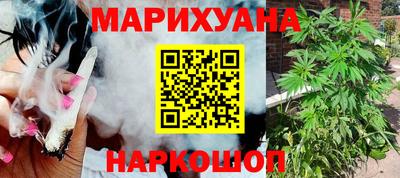 гидра Кандалакша