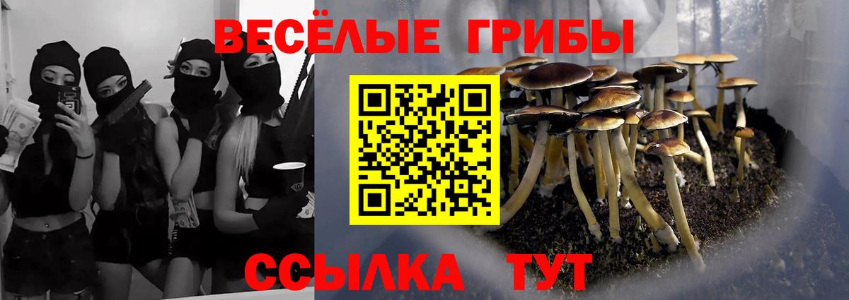Галлюциногенные грибы Magic Shrooms  Вход с VPN  Псилоцибиновые грибы прущие грибы  Сунжа 